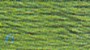 DMC Thread 701 - Lawn green